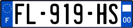 FL-919-HS