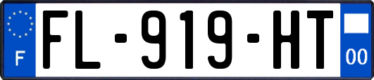 FL-919-HT