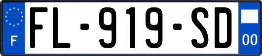 FL-919-SD