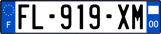 FL-919-XM