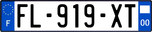 FL-919-XT