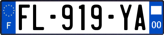 FL-919-YA