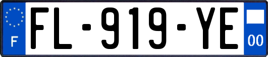FL-919-YE