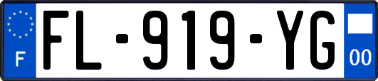 FL-919-YG