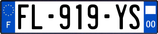 FL-919-YS