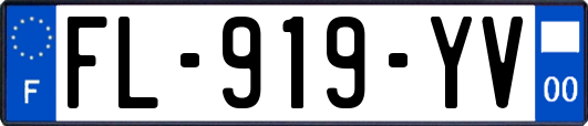 FL-919-YV