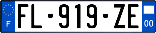 FL-919-ZE