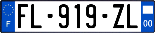 FL-919-ZL