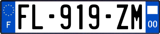 FL-919-ZM