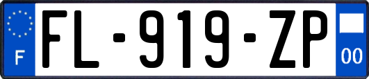 FL-919-ZP