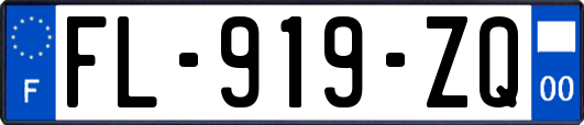 FL-919-ZQ