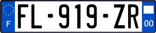 FL-919-ZR