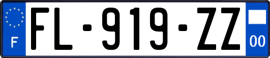 FL-919-ZZ