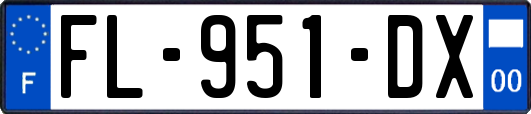 FL-951-DX