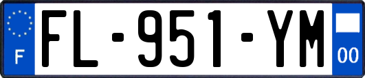 FL-951-YM