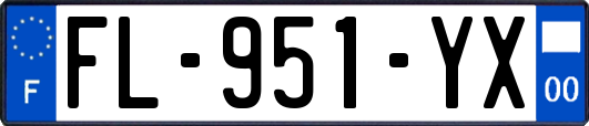 FL-951-YX