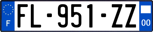 FL-951-ZZ