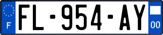FL-954-AY