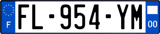 FL-954-YM