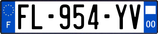 FL-954-YV