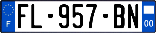 FL-957-BN