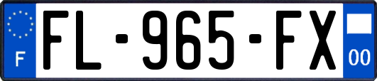 FL-965-FX