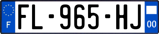 FL-965-HJ