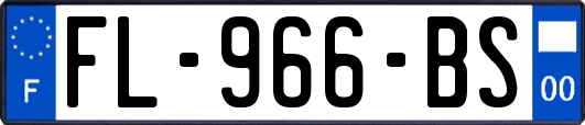 FL-966-BS