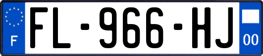 FL-966-HJ