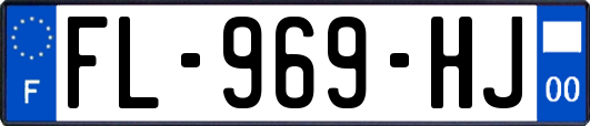 FL-969-HJ