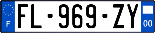 FL-969-ZY