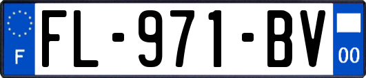 FL-971-BV