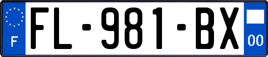 FL-981-BX