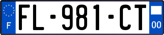 FL-981-CT