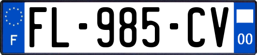 FL-985-CV