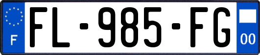 FL-985-FG