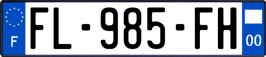 FL-985-FH