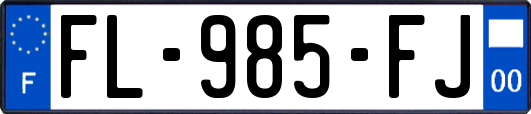 FL-985-FJ