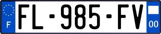 FL-985-FV