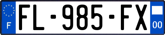 FL-985-FX