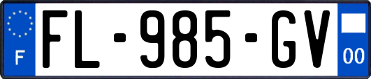 FL-985-GV