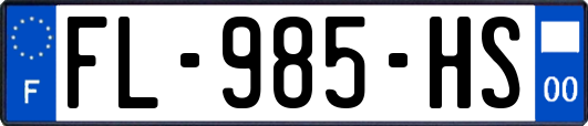 FL-985-HS