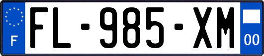 FL-985-XM