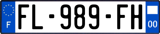 FL-989-FH
