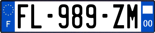 FL-989-ZM