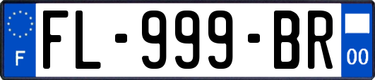 FL-999-BR