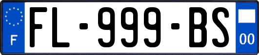 FL-999-BS