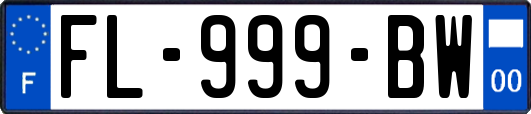 FL-999-BW