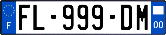 FL-999-DM