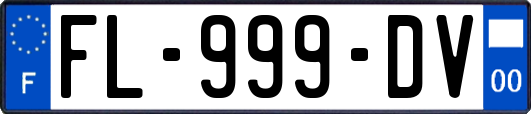 FL-999-DV